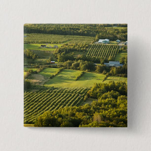 Nordamerika, Kanada, Nova Scotia, Annapolis Button