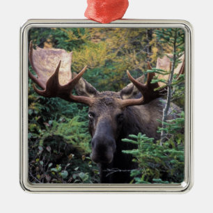 Nordamerika, Kanada, Nova Scotia, Cape Breton Ornament Aus Metall