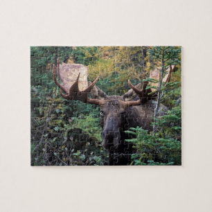 Nordamerika, Kanada, Nova Scotia, Kap Breton