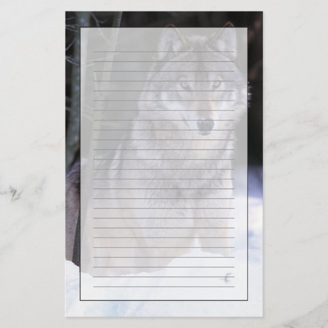 Nordamerika, Kanada, Ostkanada, Grauwolf Briefpapier (Vorderseite)