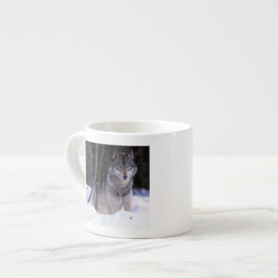 Nordamerika, Kanada, Ostkanada, Grauwolf Espressotasse
