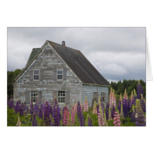 Nordamerika, Kanada, Prince Edward Island,
