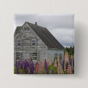 Nordamerika, Kanada, Prince Edward Island, Button