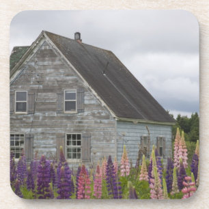 Nordamerika, Kanada, Prince Edward Island, Getränkeuntersetzer