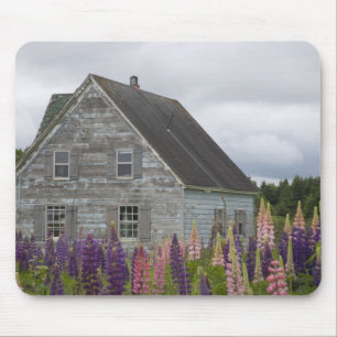 Nordamerika, Kanada, Prince Edward Island, Mousepad