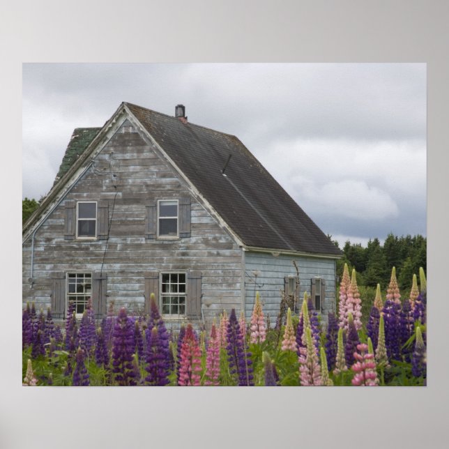 Nordamerika, Kanada, Prince Edward Island, Poster (Vorne)