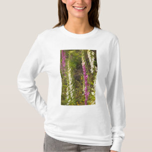 Nordamerika, Kanada, Queen Charlotte Islands, 2 T-Shirt