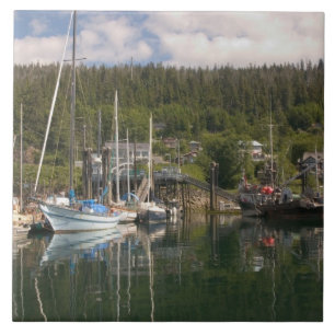 Nordamerika, Kanada, Queen Charlotte Islands, 4 Fliese