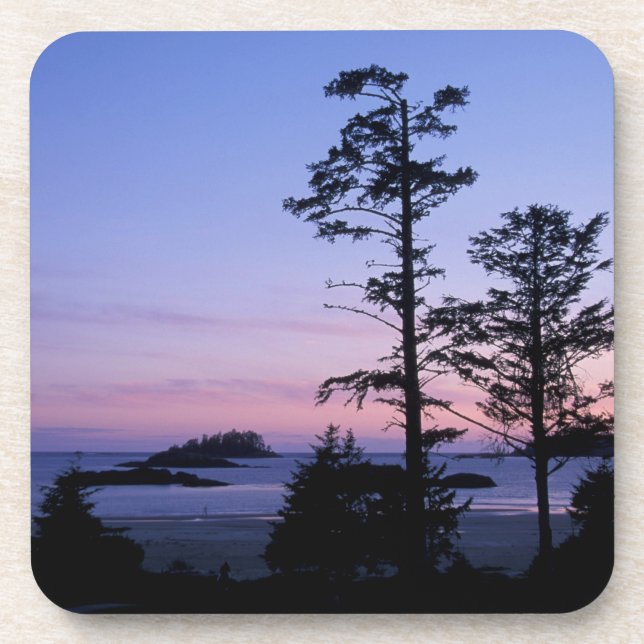 Nordamerika, Kanada, Vancouver Island, Bäume Getränkeuntersetzer (Vorderseite)