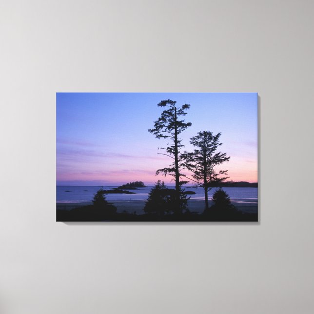 Nordamerika, Kanada, Vancouver Island, Bäume Leinwanddruck (Vorderseite)