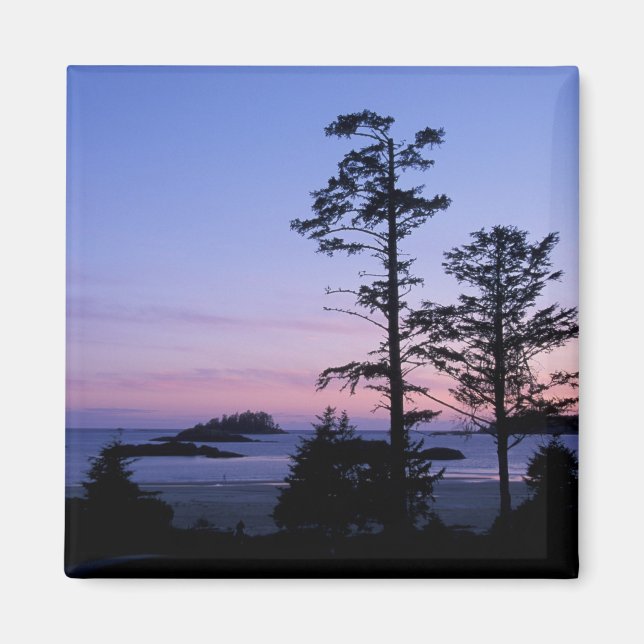Nordamerika, Kanada, Vancouver Island, Bäume Magnet (Vorne)