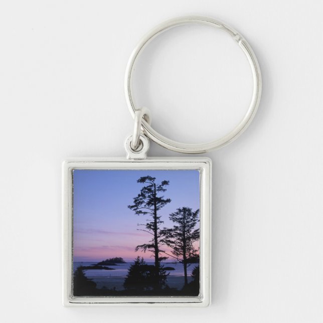 Nordamerika, Kanada, Vancouver Island, Bäume Schlüsselanhänger (Vorne)