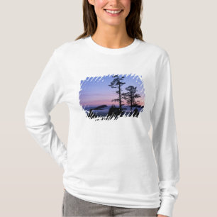 Nordamerika, Kanada, Vancouver Island, Bäume T-Shirt