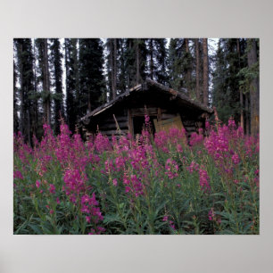 Nordamerika, Kanada, Yukon. Abandonierte Trapper Poster