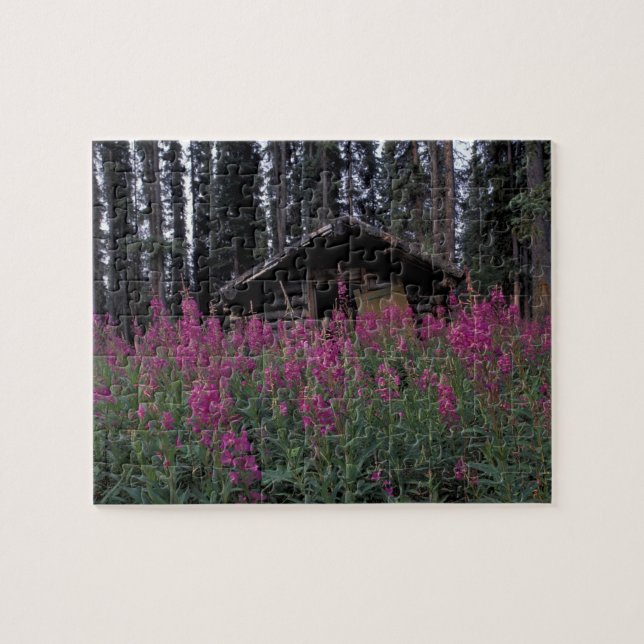 Nordamerika, Kanada, Yukon. Ausgesetzte Anhänger (Horizontal)