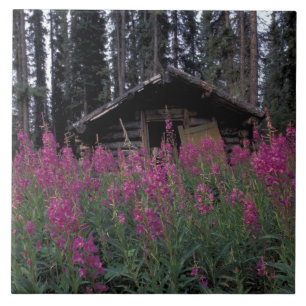 Nordamerika, Kanada, Yukon. Ausgesetzte Anhänger Fliese