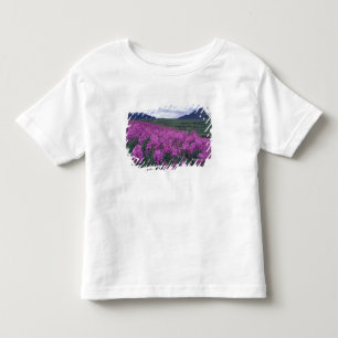 Nordamerika, Kanada, Yukon. Feuerkraut blüht Kleinkind T-shirt