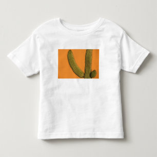 Nordamerika, Mexiko, Baja California, Cabo Kleinkind T-shirt