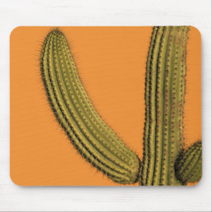Nordamerika, Mexiko, Baja California, Cabo Mousepad