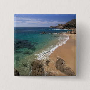 Nordamerika, Mexiko, Baja California Sur, Button