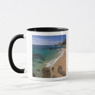 Nordamerika, Mexiko, Baja California Sur, Tasse