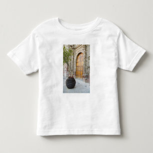 Nordamerika, Mexiko, Bundesstaat Guanajuato, San 3 Kleinkind T-shirt