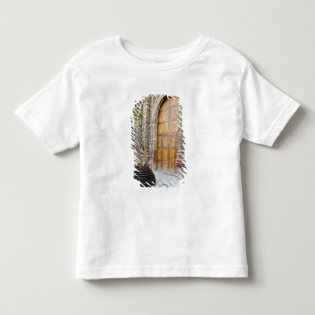 Nordamerika, Mexiko, Guanajuato Staat, San 3 Kleinkind T-shirt (Vorderseite)