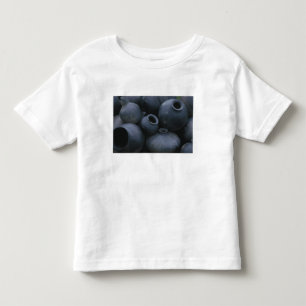 Nordamerika, Mexiko, Oaxaca, San Bartolo Kleinkind T-shirt
