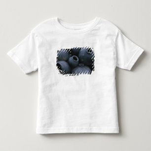 Nordamerika, Mexiko, Oaxaca, San Bartolo Kleinkind T-shirt