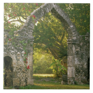 Nordamerika, Mexiko, Yucatan-Halbinsel, Fliese