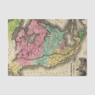 Nordamerika Seidenpapier