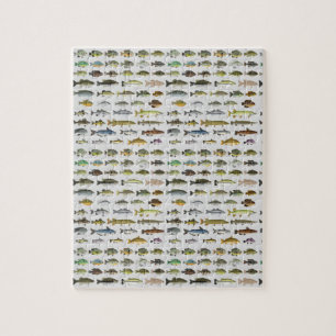 Nordamerika Süßwasserfisch Gruppe Canvas Print