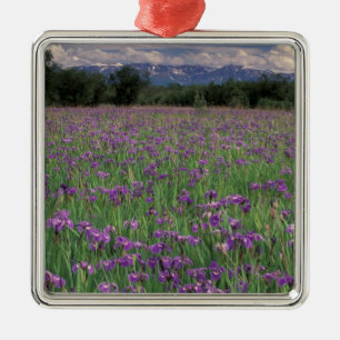 Nordamerika, USA, Alaska, Anchorage, Eklutna Ornament Aus Metall