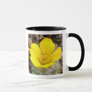 Nordamerika, USA, Alaska, Denali National Tasse