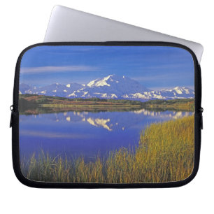 Nordamerika, USA, Alaska, Denali NP, Laptopschutzhülle