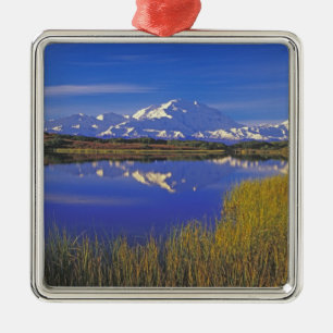 Nordamerika, USA, Alaska, Denali NP, Ornament Aus Metall