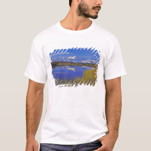 Nordamerika, USA, Alaska, Denali NP, T-Shirt