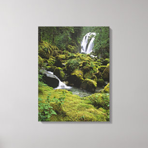Nordamerika, USA, Alaska. Ein Wasserfall und Leinwanddruck