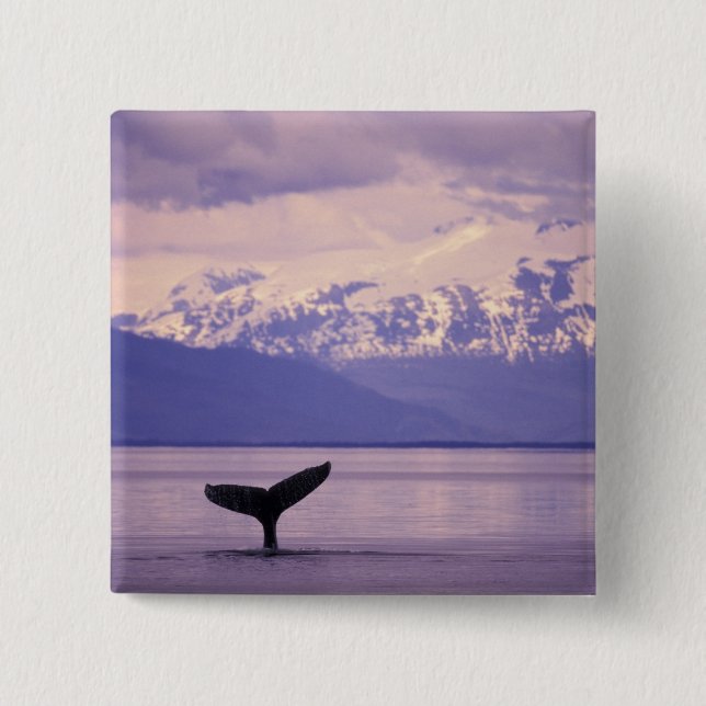 Nordamerika, USA, Alaska, Inside Passage. Button (Vorderseite)