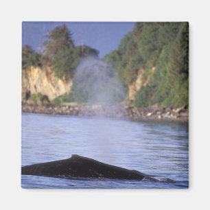 Nordamerika, USA, Alaska, Inside Passage. Magnet