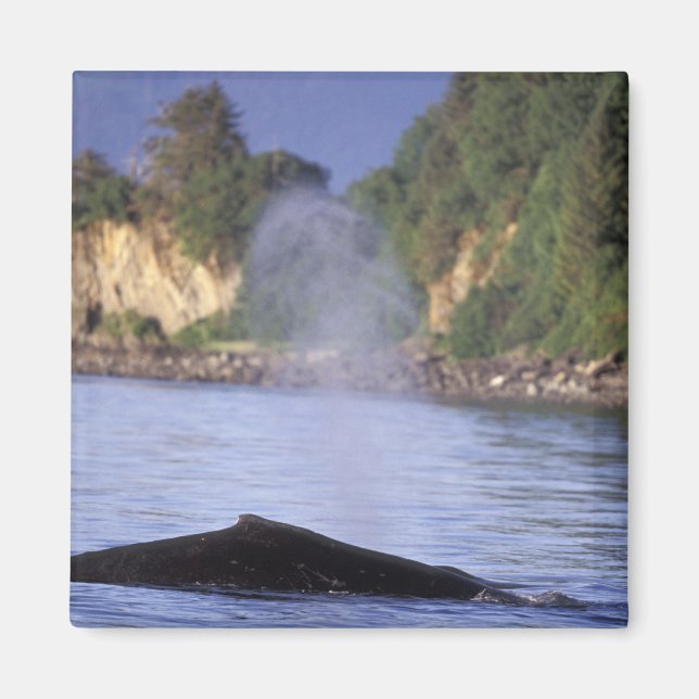 Nordamerika, USA, Alaska, Inside Passage. Magnet (Vorne)