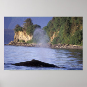Nordamerika, USA, Alaska, Inside Passage. Poster