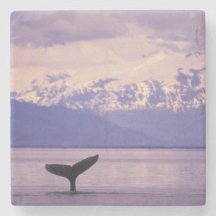 Nordamerika, USA, Alaska, Inside Passage. Steinuntersetzer