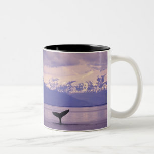 Nordamerika, USA, Alaska, Inside Passage. Zweifarbige Tasse