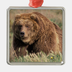 Nordamerika, USA, Alaska, Kodiak-Insel, Silbernes Ornament