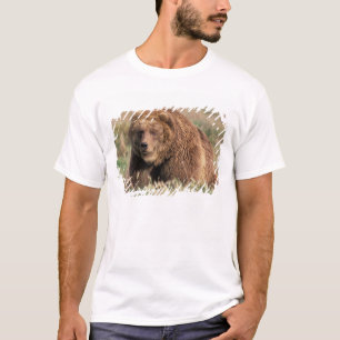 Nordamerika, USA, Alaska, Kodiak-Insel, T-Shirt
