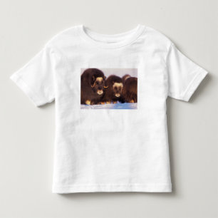 Nordamerika, USA, Alaska, Polarkreis, Kleinkind T-shirt