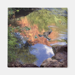 Nordamerika, USA, Arizona, Havasu Canyon, 3 Magnet