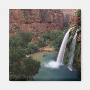 Nordamerika, USA, Arizona, Havasu Canyon, Magnet