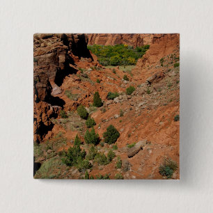 Nordamerika, USA, Arizona, Navajo India Button